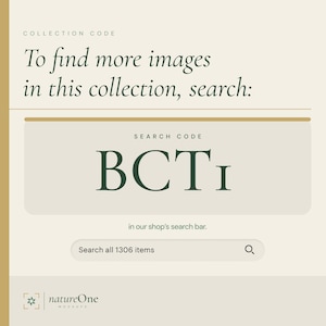 a green background with a picture of a branch and the words search bct in