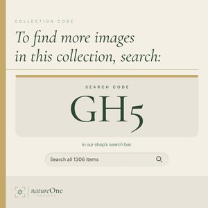 a green square with the words search gh5 in front of it