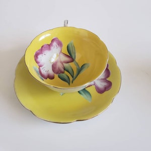 Shafford HandPainted Tea Cup Floral inside  Japan