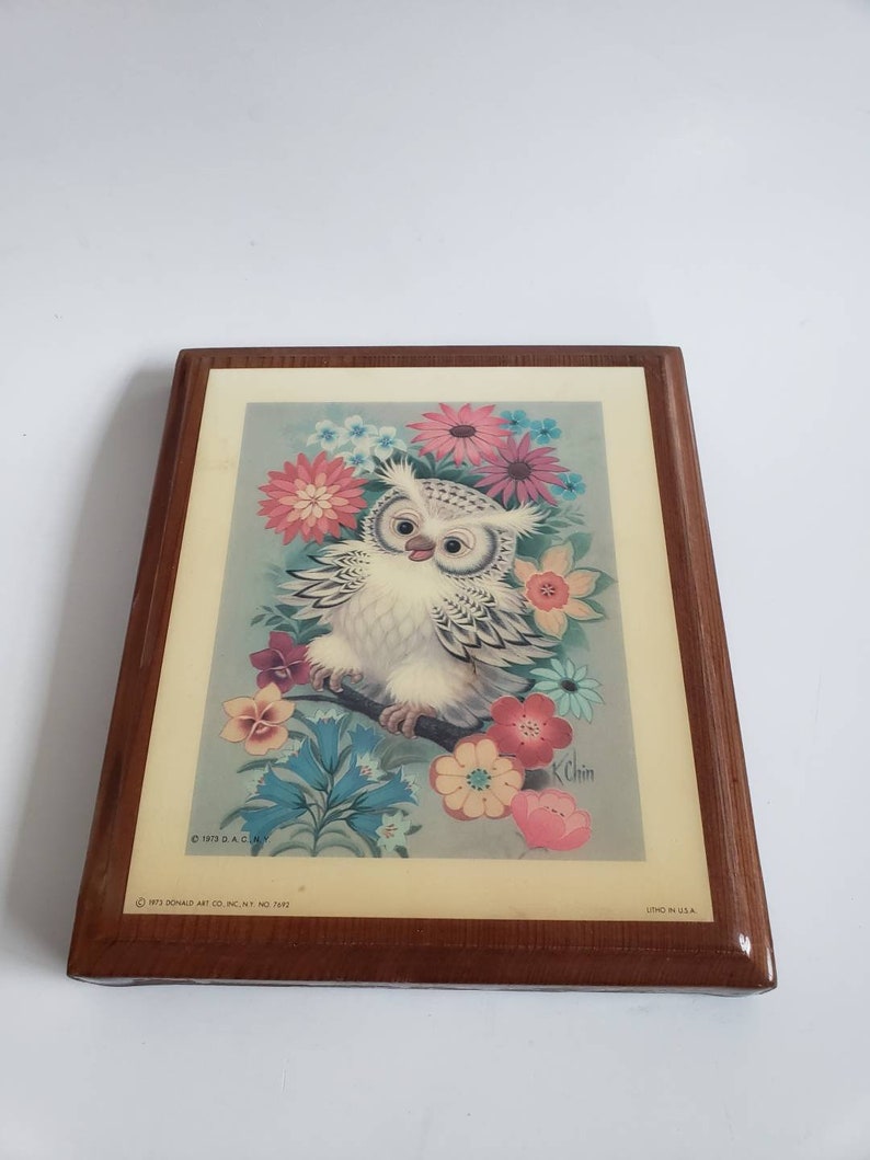 Donald Art Co. Inc NY N 7692 Litlle Owl Lithograph Picture Etsy