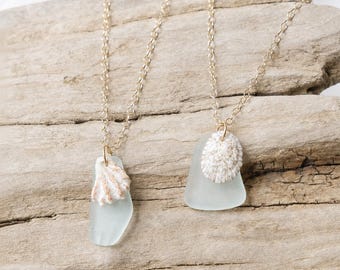 Genuine Sea Glass & Shell Necklace | 14k Gold Filled Coastal Necklace | Beach Glass Jewelry | Ocean Lover Gift