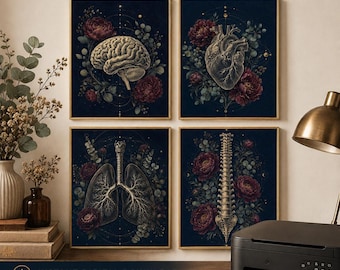 Floral Anatomy Art Print Bundle | Brain Heart Lungs Spine | Medical Wall Art | US Letter 8.5x11 | Printable Digital Download