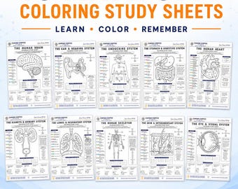 10 Anatomy Coloring Study Sheets Bundle: Human Body Systems (PDF Download)