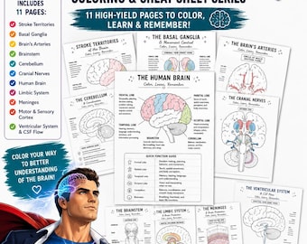 Coloriages d'anatomie du cerveau pour étudiants et professionnels | Téléchargement instantané