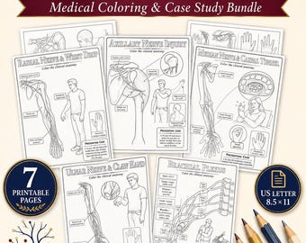 Upper-Limb Nerves Coloring Pages | Clinical Anatomy Case Study Bundle | 7-Page PDF