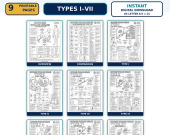 Glycogen Storage Disease Coloring and Study Bundle, Types I–VII, 9 Printable US Letter Pages, Digital Download