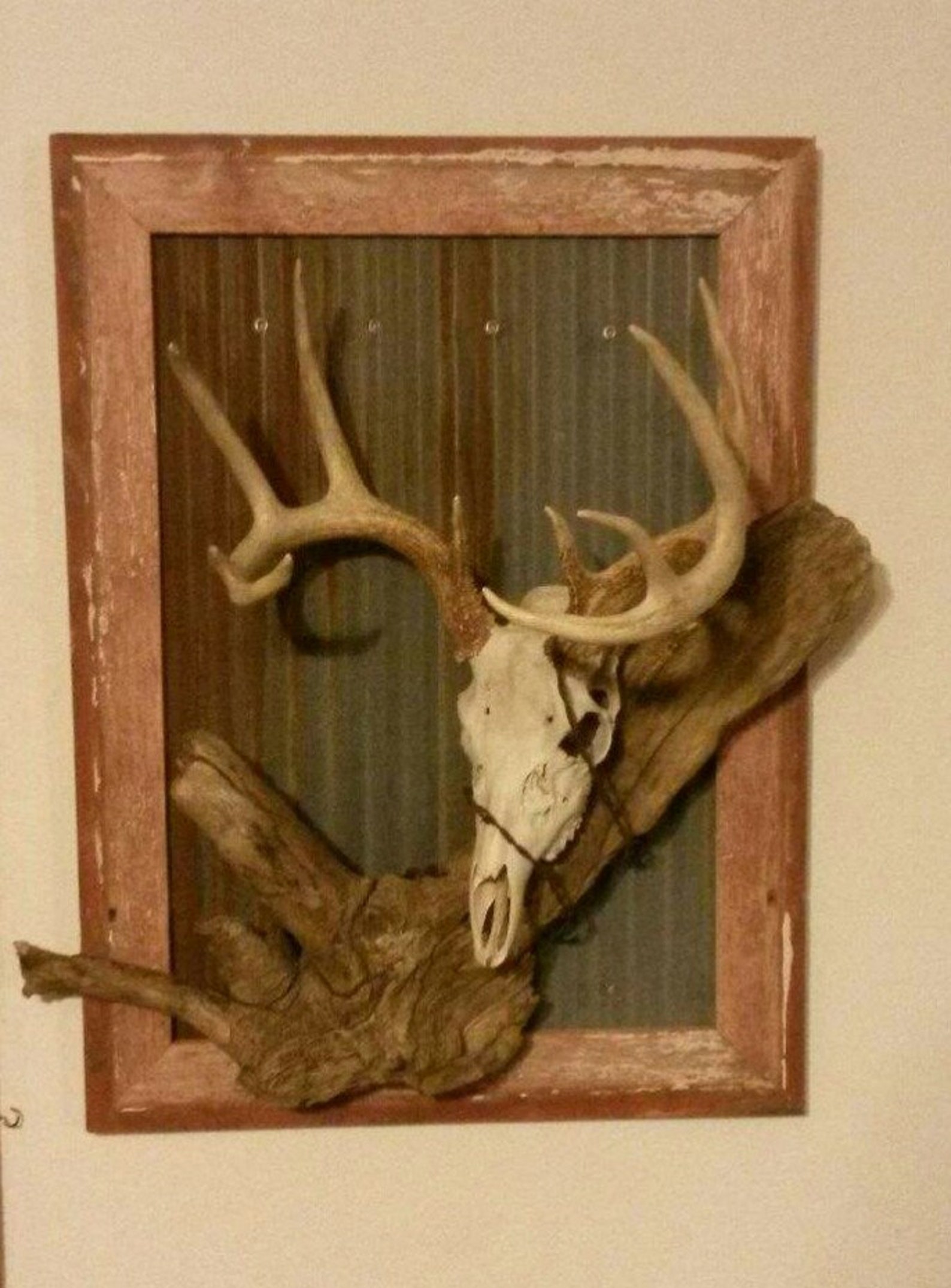 Custom Plaque for European Mount Skulls Horns Taxidermy Etsy Custom Plaque for European Mount Skulls Horns Taxidermy Etsy