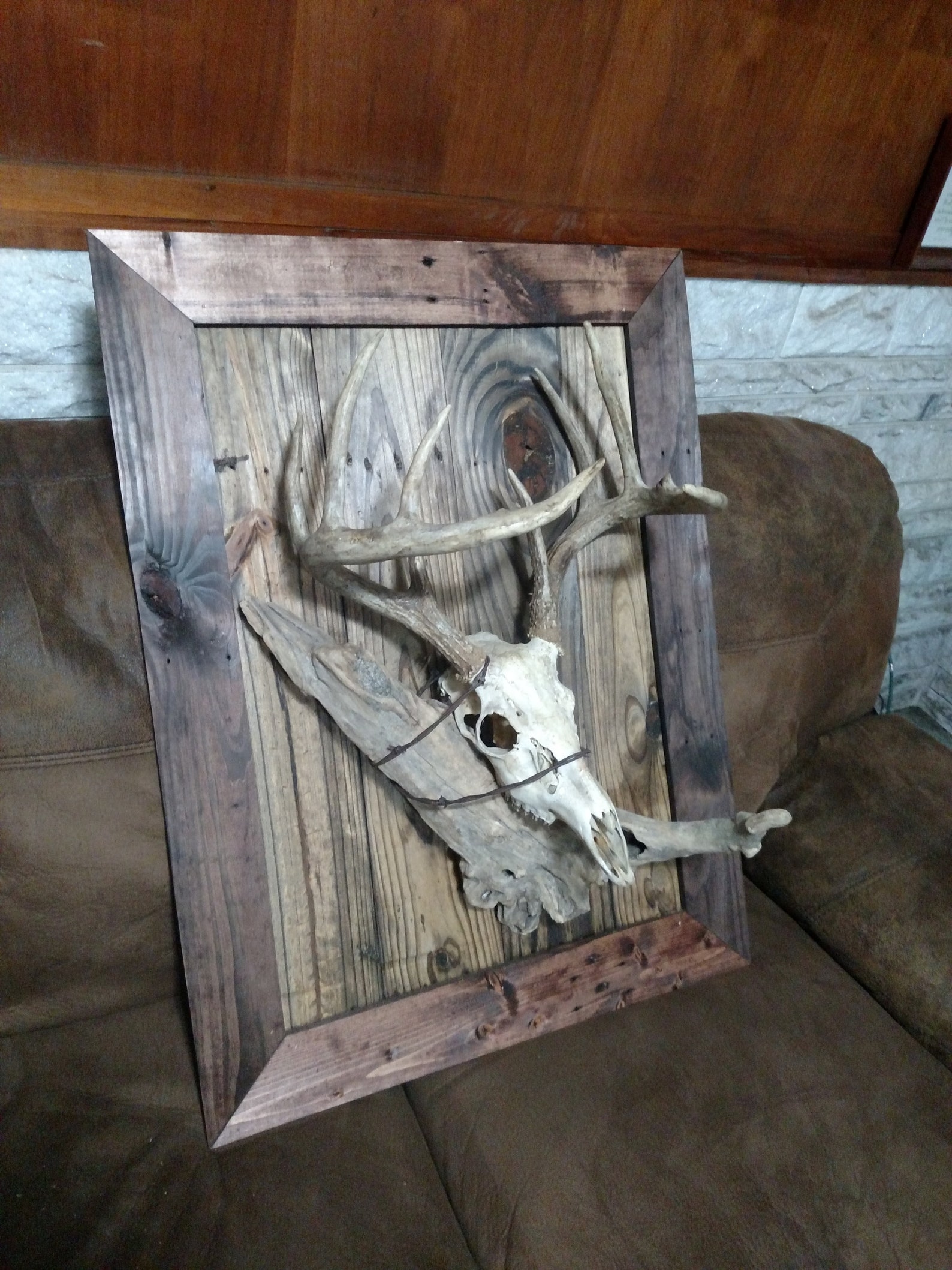 Custom Plaque for European Mount, Skulls, Horns, Taxidermy Etsy