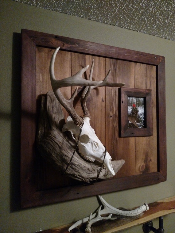 26+ European Deer Mount Plaque Ideas