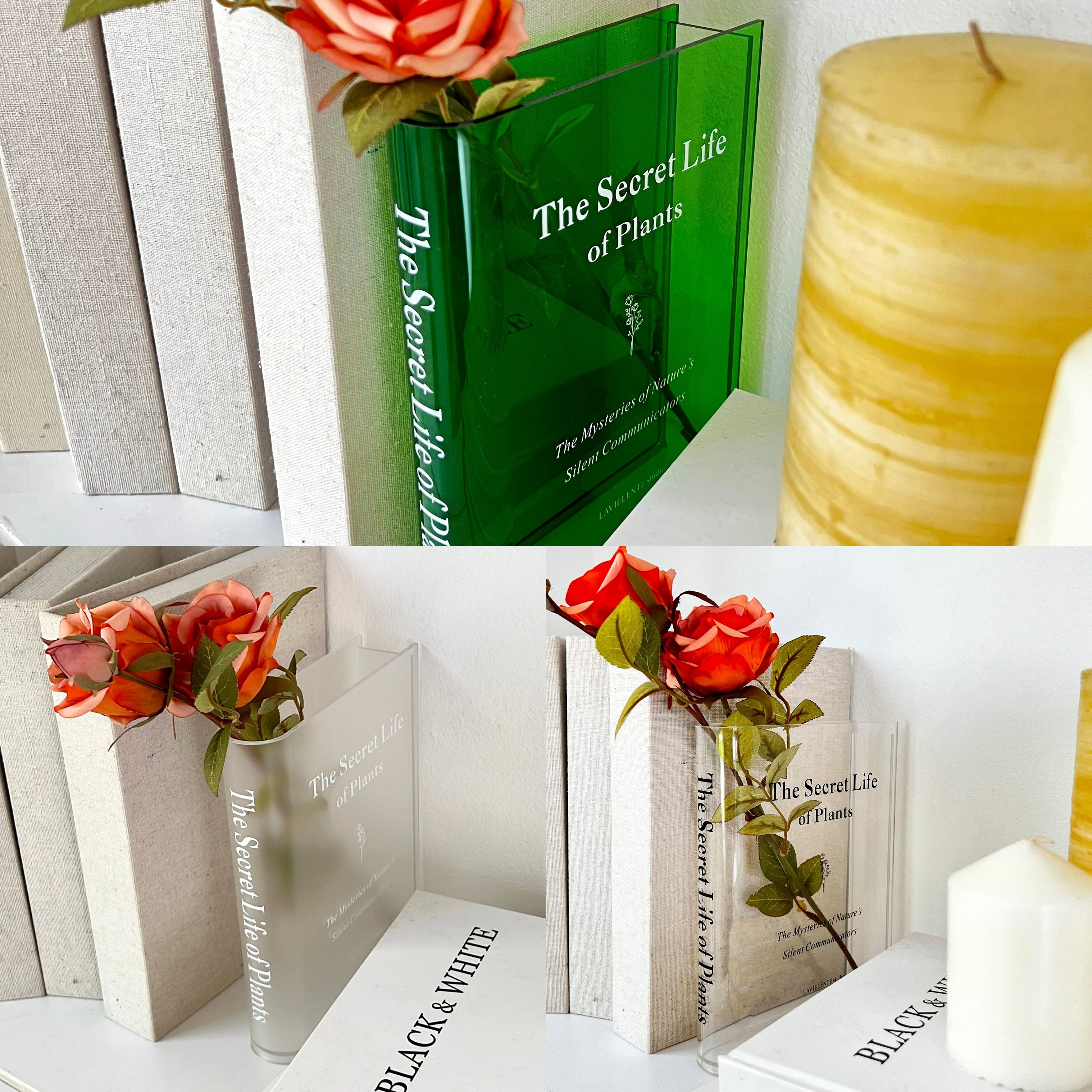 Jarrón acrílico para libros La vida secreta de las plantas, decoración  única para el hogar para amantes de los libros y las flores, regalo  perfecto -  México