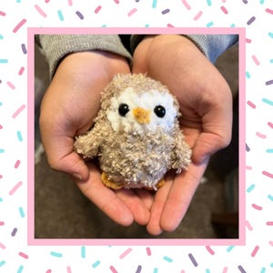 Owl Crochet Pattern, Amigurumi Owl Pattern, Low Sew, Quick and Easy, Beginner Friendly