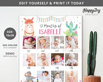 Llama Theme First Year Photo Poster, Girl 1st Birthday 12 Months, Editable Template INSTANT Digital Download, Edit Yourself with Corjl