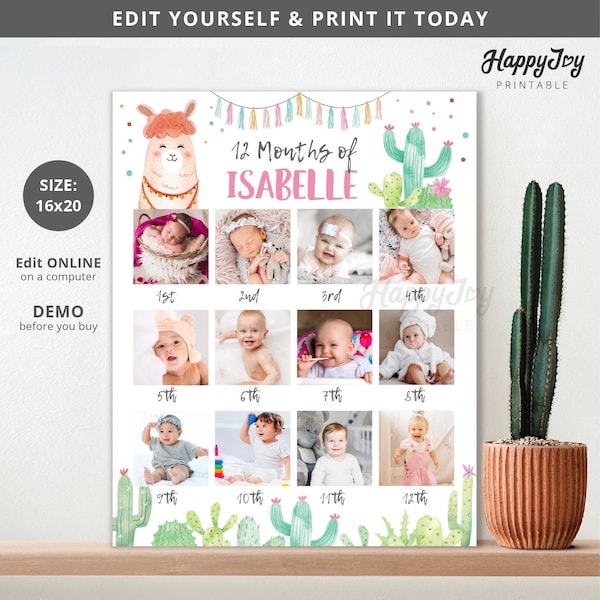 Llama Theme First Year Photo Poster, Girl 1st Birthday 12 Months, Editable Template INSTANT Digital Download, Edit Yourself with Corjl