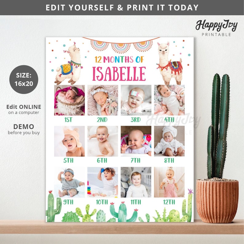 May include: A printable 12-month baby photo collage featuring a llama theme. The collage has a white background with colourful accents and a title that says "12 Months of Isabelle". There are 12 photo spaces for pictures of a baby from month 1 to month 12.