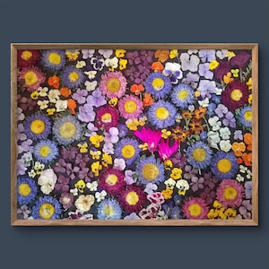 Original pressed flower wall art, botanical gift for nature lovers, natural home decor, real framed florals, gardening lovers gift, boho