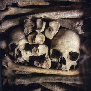 May include: A close-up view of a collection of human skulls and bones. The skulls are positioned in the center, surrounded by long bones, creating a dense, layered arrangement. The bones have a weathered, aged appearance, with varying shades of brown and beige.