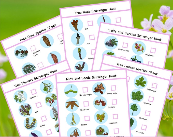 Pretty Nature Walk Printables by MyNatureNook on Etsy