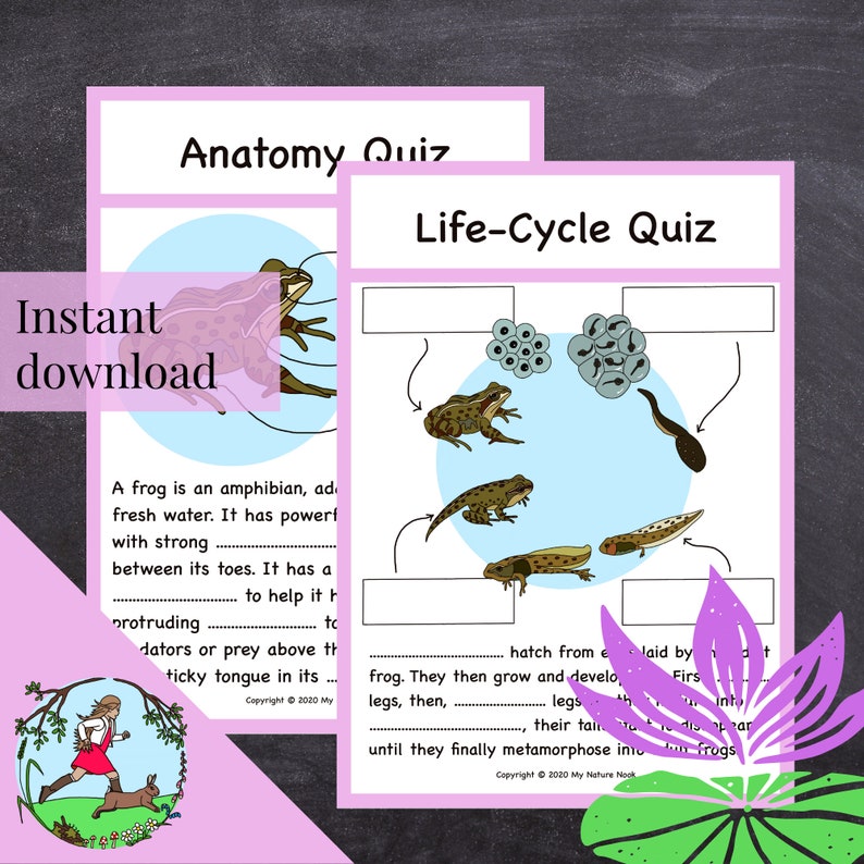 Frog Life-cycle Poster (printable PDF) - Etsy UK