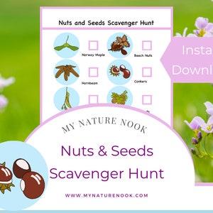 Nuts and Seeds Nature Walk Spotter (Printable PDF)