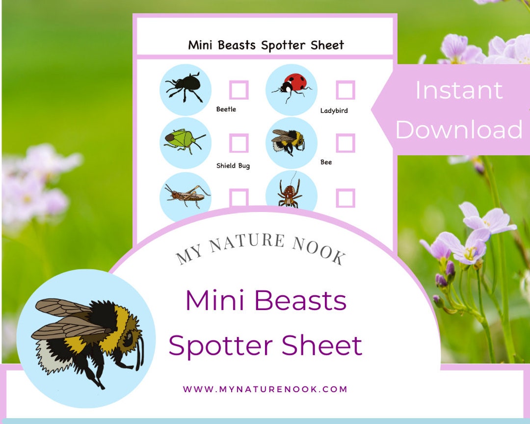 mini-beasts-nature-walk-spotter-printable-pdf-etsy