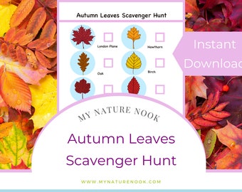 Nature scavenger hunt // Autumn leaves (printable PDF)