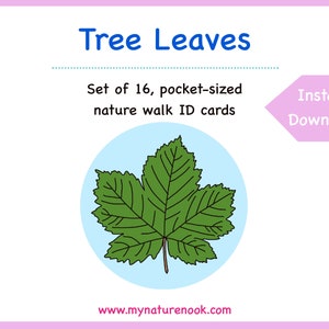 Tree Leaves - Cards - Digital - Printable PDF.
