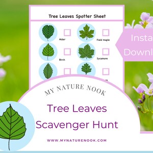 Tree Leaves Scavenger Hunt - Nature Walk Activity for Kids (PDF)