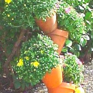36&quot;Tipsy Pot Pole, Gift , Fall DIY Vertical Planting,  Gardener Surprise Gift.