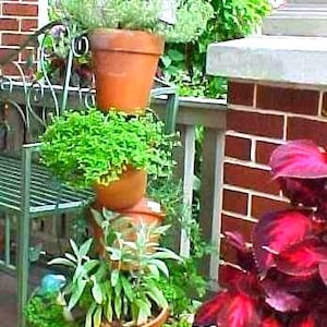 May include: A stacked terracotta planter with a variety of green plants. The planter is on a porch with a brick wall and a red-leaved plant in a terracotta pot.