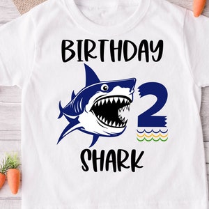 2. Geburtstag SVG 2. Geburtstag Shirt svg zweiter Geburtstag svg zwei Jahre alt svg png jpeg dxf cut Akten | N489