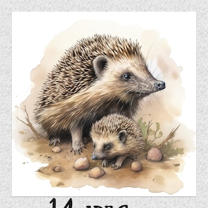 Aquarell Igel 14 JPEGs Dateien Igel Clipart Pack Igel Kinderzimmer Kunst sofortigen Download Clipart Bundle
