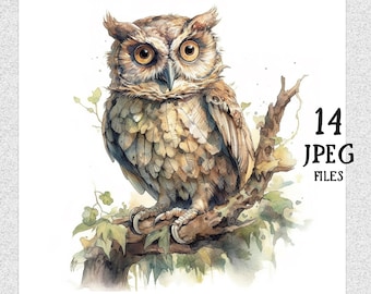 Watercolor Owl 15 JPEGs Files Owl Clipart Pack Owl Nursery art instant download clipart bundle