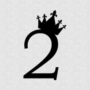 2 Geburtstag Cake Topper 2st Birthday Cake Topper 2st Birthday Cake Topper 2st Birthday Cake Topper 2nd Birthday Cake Topper N495t