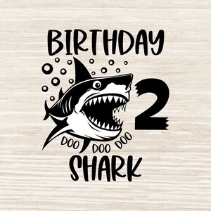 2. Geburtstag SVG 2. Geburtstag Shirt svg zweiter Geburtstag svg zwei Jahre alt svg png jpeg dxf geschnitten Dateien | N473