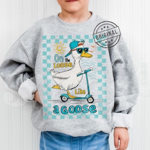 Pu&ograve; includere: Una felpa grigia con un cartone animato di un'oca che indossa occhiali da sole e guida uno scooter. L'oca indossa un cappello blu e bianco e il testo sulla felpa dice "On the Loose Like a Goose".