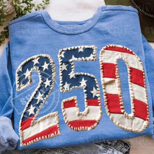 Może przedstawiać: Jasnoniebieska bluza z numerem "250" na przodzie. Numery zaprojektowano w stylu patchworku, z czerwono-białymi paskami i niebieskim materiałem z białymi gwiazdami, przypominającymi amerykańską flagę.
