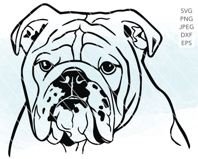 English Bulldog SVG Bulldog PNG Printable Cutting files for | Etsy