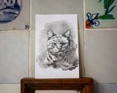 Katze