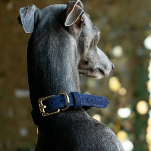 Etsy collars outlet