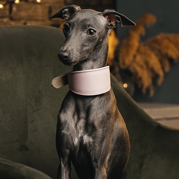 Trendy Cow Dog Collar Wide Collar of Sweden