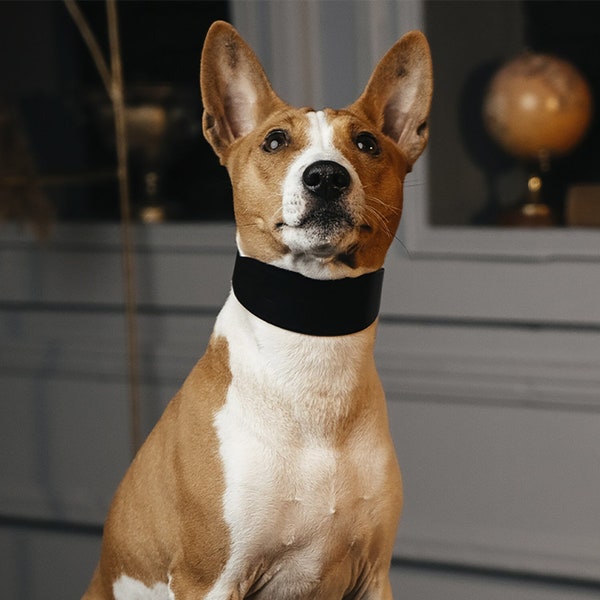 Sighthound Custom Black Dog Collar Cuir, Premium Leather Pet Collar pour Basenji, Plaque signalétique en nickel massif gravée, Plaque d’identité silencieuse