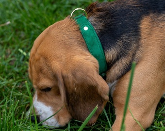 Green Velvet Dog Collar for Medium Breeds, Unique Design Leather Dog Collar, Adjustable Dog Collar, Dog Collar Boy Girl, Dog Owner Gift
