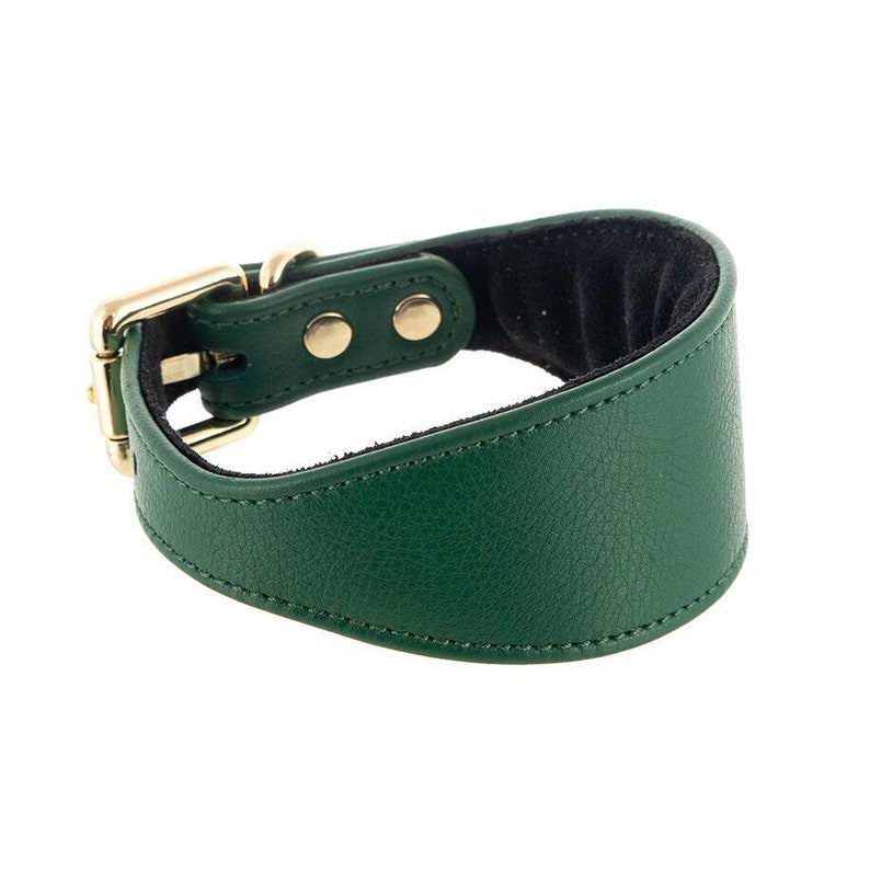 Green Leather Whippet Collar Personalized With Name Plate, Sighthound