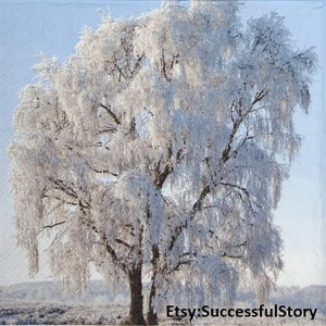 5 ARBRE SURGELÉ, serviettes en papier pour découpage, Nature, serviettes pour découpage, hiver, serviettes en papier, papier de soie, serviette décorative blanc marron