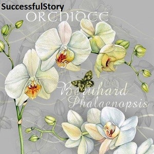 15 SERVILLETAS DE DECOUPAGE, ORQUÍDEA, Servilletas de papel para decoupage, Flores blancas, Servilletas de papel, Servilletas decorativas, Blanco gris, Papel de seda