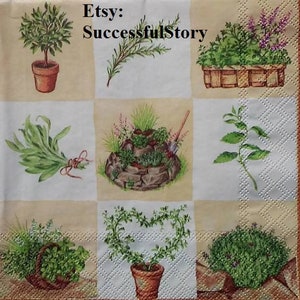 6 TOVAGLIOLI DI CARTA BOTANICI Per Decoupage, Tovaglioli di carta beige verde, Tovaglioli di carta erba, Piante, Tovaglioli Decoupage, Tovaglioli con erbe aromatiche