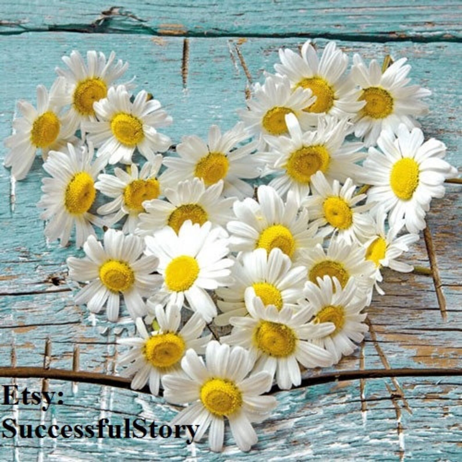 4 Daisy Paper Napkins For Decoupage Paper Serviette Floral Etsy