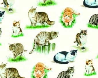 4 KITTENS DECOUPAGE NAPKINS, Lovely Cats, Paper Napkins For Decoupage, Cats, Paper Serviette, Animal Napkins, Lunch Napkins, Crafting Tissue