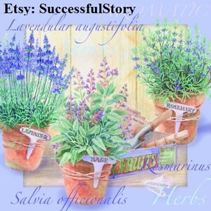 6 LAVENDEL in den Töpfen, Decoupage-Servietten, LAVENDULAR ROSMARINUS, Papierservietten für Decoupage, Botanische, Papierservietten, Blumenservietten