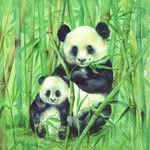 10 PANDA PAPER NAPKINS For Decoupage, Animal Print, Decoupage Napkins, Asia, Paper Serviettes, Bamboo Plant, Decorative Napkin, Lunch Napkin